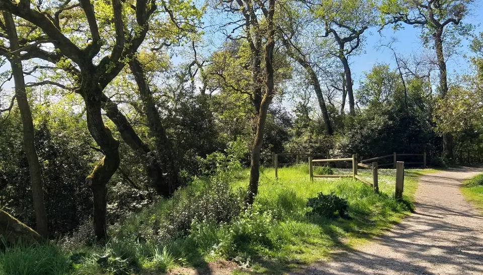 Balade des jardins
