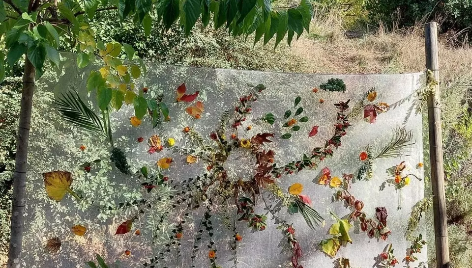 Retour sur la fête de l'automne au Jardin RêVé !