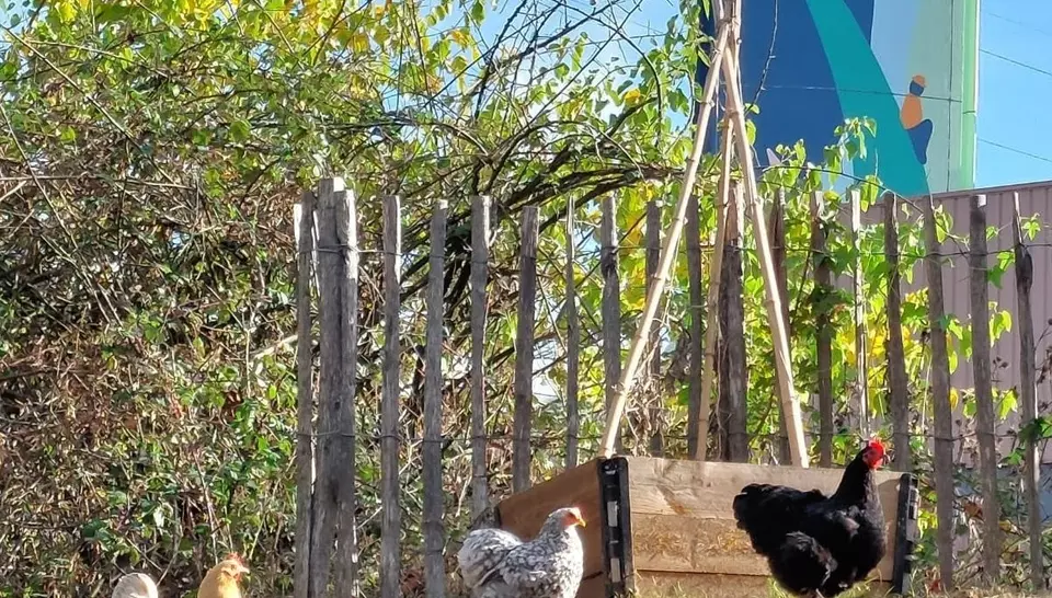 Retour sur la fête de l'automne au Jardin RêVé !