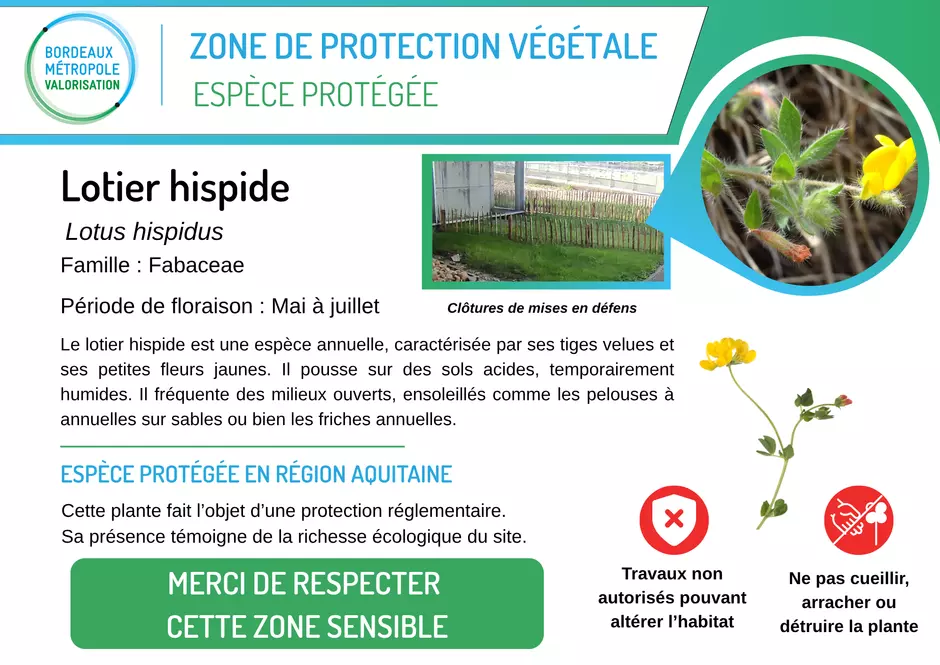 Causerie biodiversité