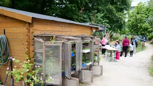 Fêtez le printemps avec le Jardin RêVé !